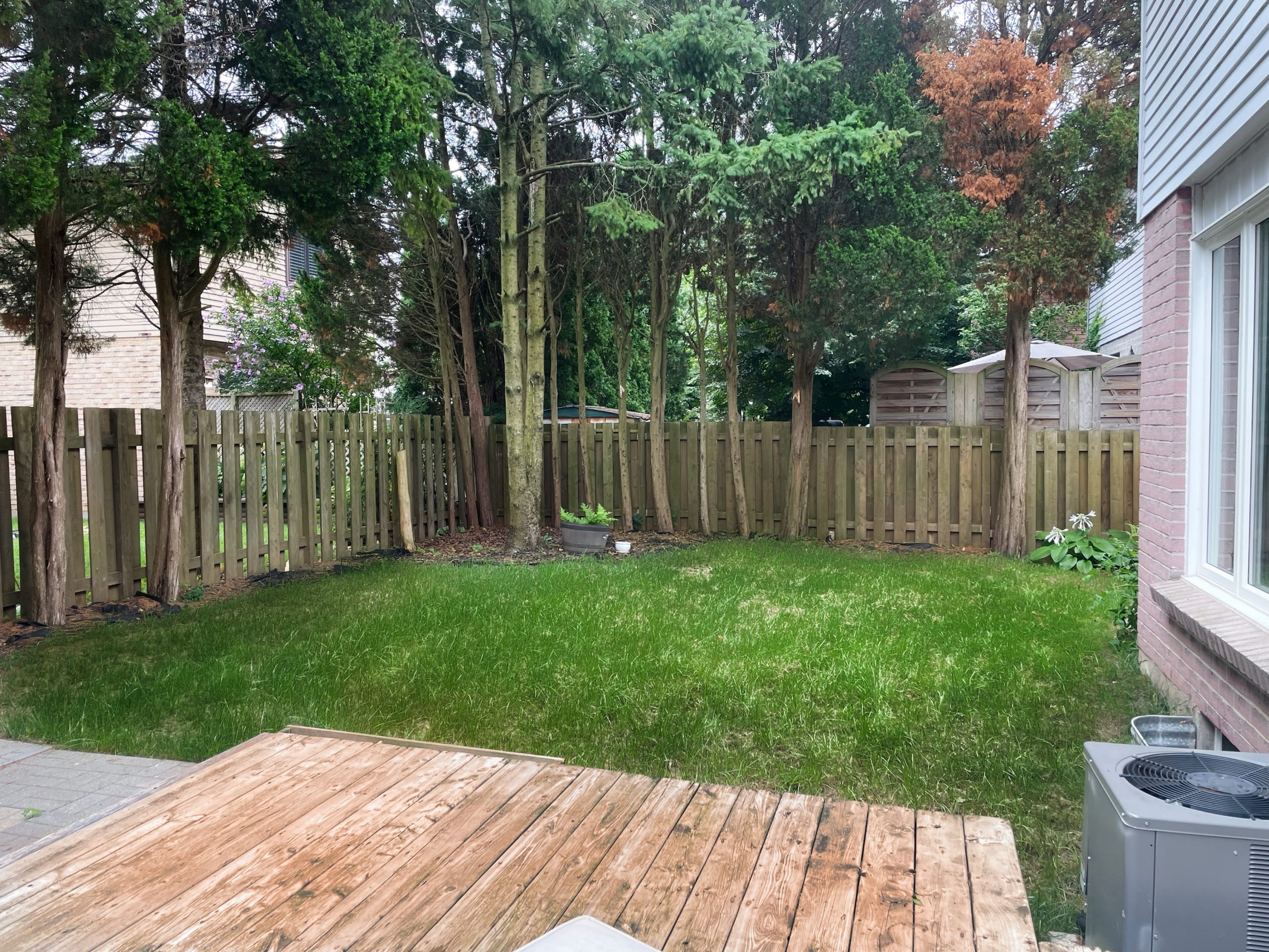 White Hills; 3 Bed, 1.5 Bath Home - Image 23